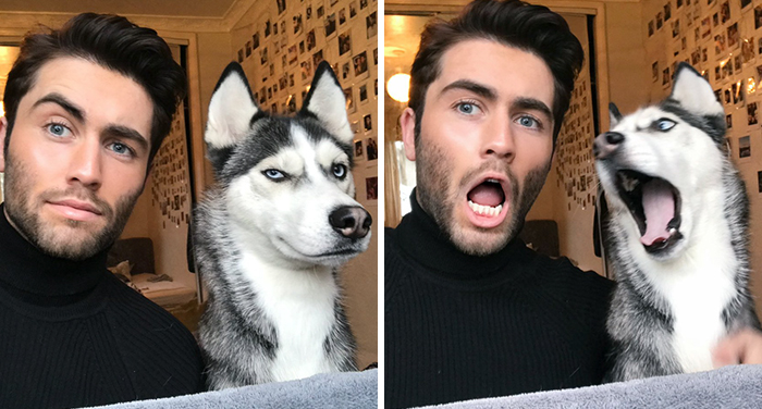 Este hombre y su perro han inspirado una adorable tendencia de imitación, y las fotos te alegrarán el día