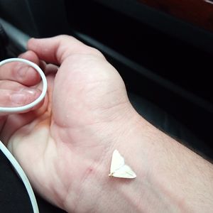 essaidlhocine35 avatar