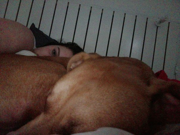 Me And My Babies On A Cold Rainy Day