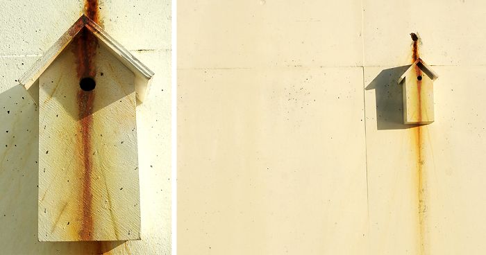 I Make Camouflage Birdhouses To Keep The City Birds Out Of Sight