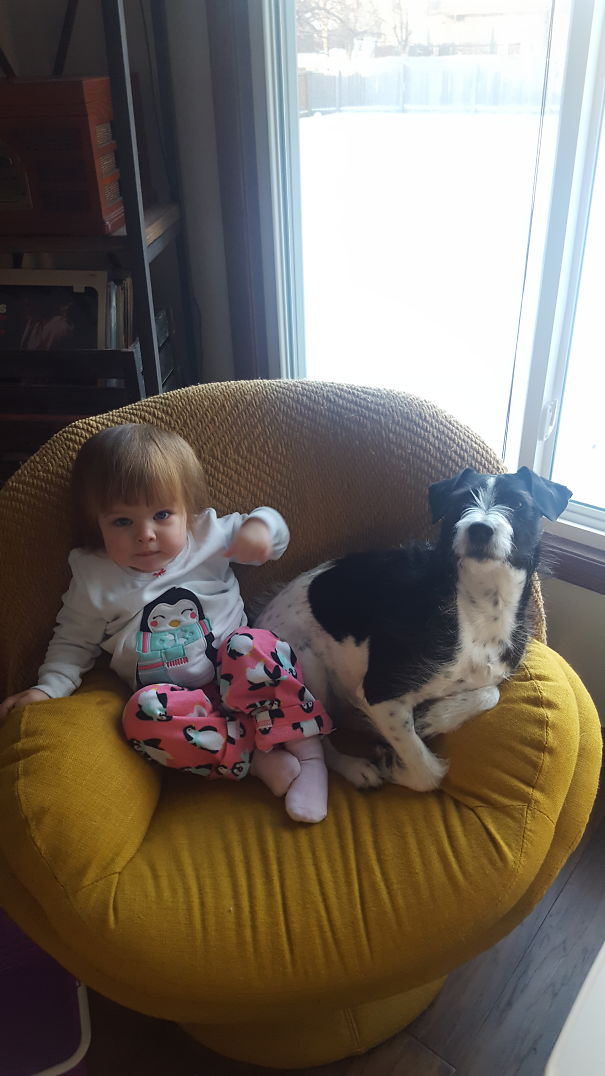 I Said The Magic Word For Both Of Them...treats!