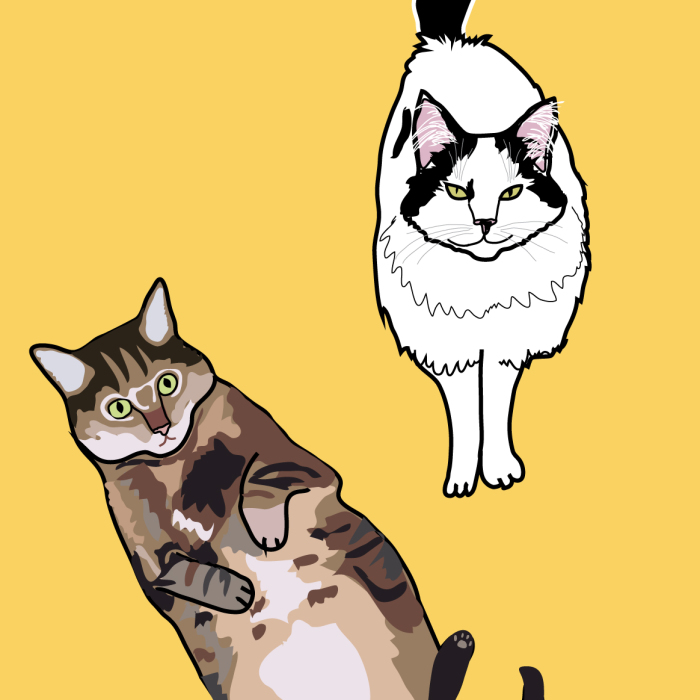 I Make Ridiculously Cute Pet Portraits