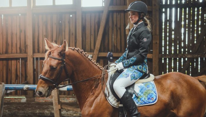 Hand-Painted Fashion For Horse Riders