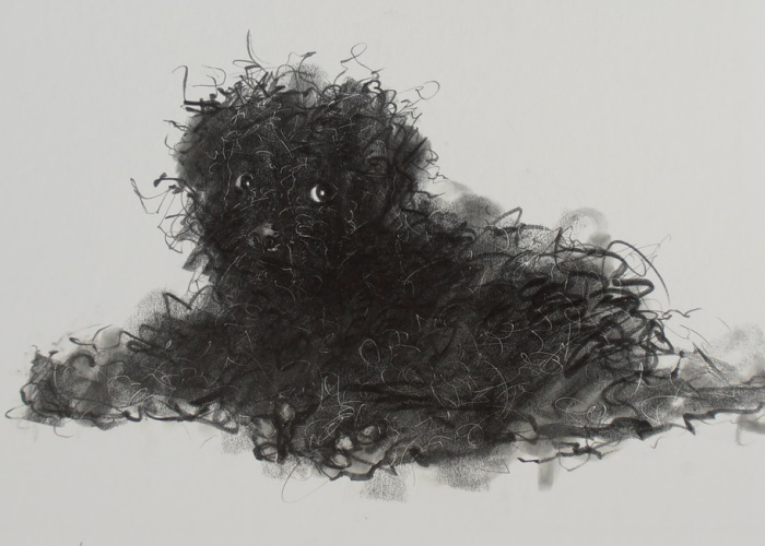 Gloomy Portraits Of Dogs That Seem To Fade Into The Paper