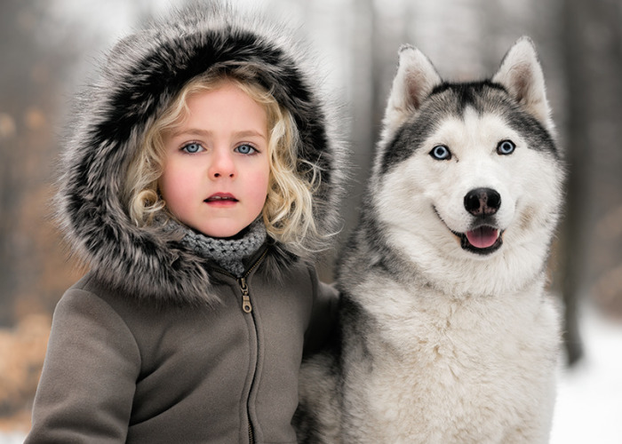 A Girl And Her Husky