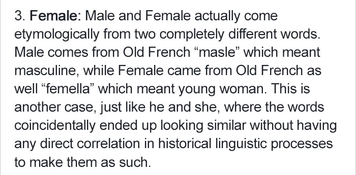 create-patriarchal-language-linguistic (6)