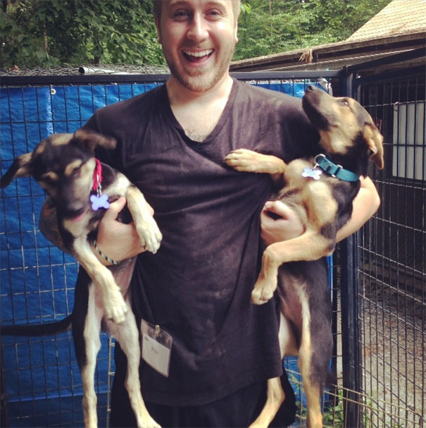 I Volunteer At A Dog Shelter On The Weekends. This Past Week They Got In Four German Sheppard Puppies