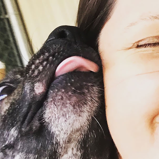 Love And Kisses From Shelter Dog