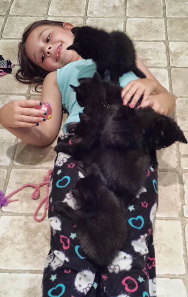 Fostering 6 Kittens For The Humane Society. My Daughter Is Loving It