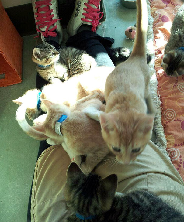 My First Day Volunteering, I Think I'm Going To Love It Here