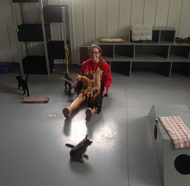 I Volunteer At An Animal Shelter And It's My Job Every Day To Play With A Dozen Of Kittens