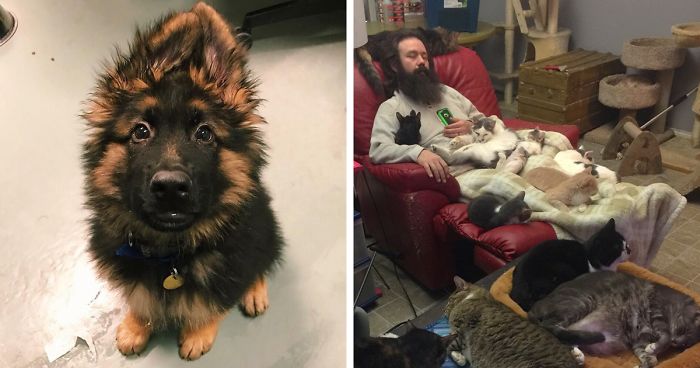 People Who Work With Animals Are Sharing Their Cutest Photos, And We Can’t Get Enough