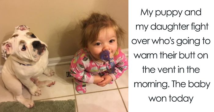 Hey Pandas, Share Photos Of Your Kids And Dogs Being Best Friends