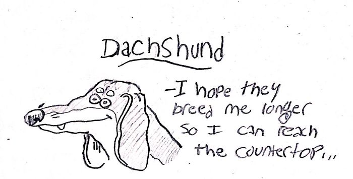 Dog-Breeds-Traits-Guide-Cartoons-Grace-Gogarty