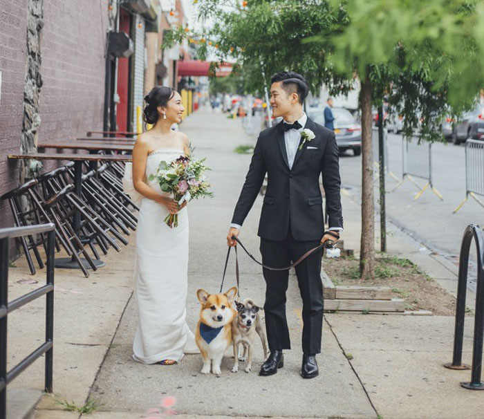 Couples Found A Way To Include Their Dogs Into Their Wedding And It's Absolutely Pawsome Couples Found A Way To Include Their Dogs Into Their Wedding And It's Absolutely Pawsome