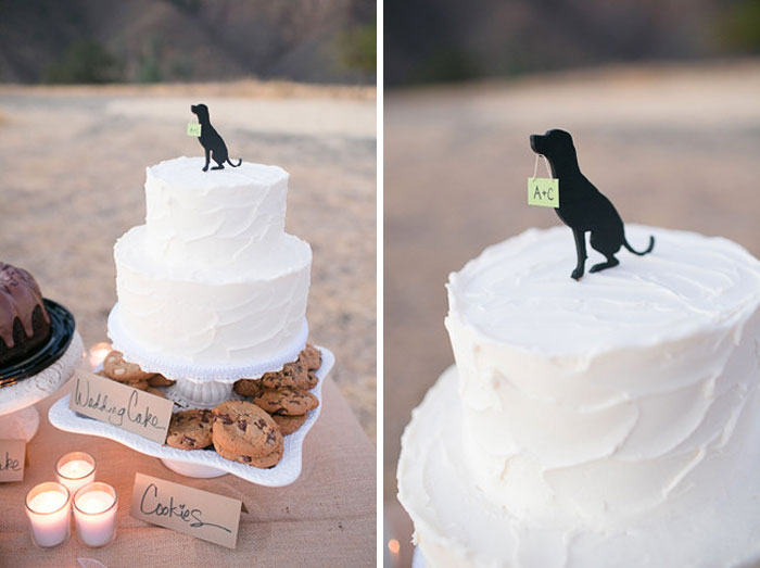 Couples Found A Way To Include Their Dogs Into Their Wedding And It's Absolutely Pawsome Couples Found A Way To Include Their Dogs Into Their Wedding And It's Absolutely Pawsome