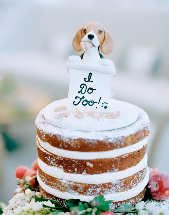 Couples Found A Way To Include Their Dogs Into Their Wedding And It's Absolutely Pawsome Couples Found A Way To Include Their Dogs Into Their Wedding And It's Absolutely Pawsome