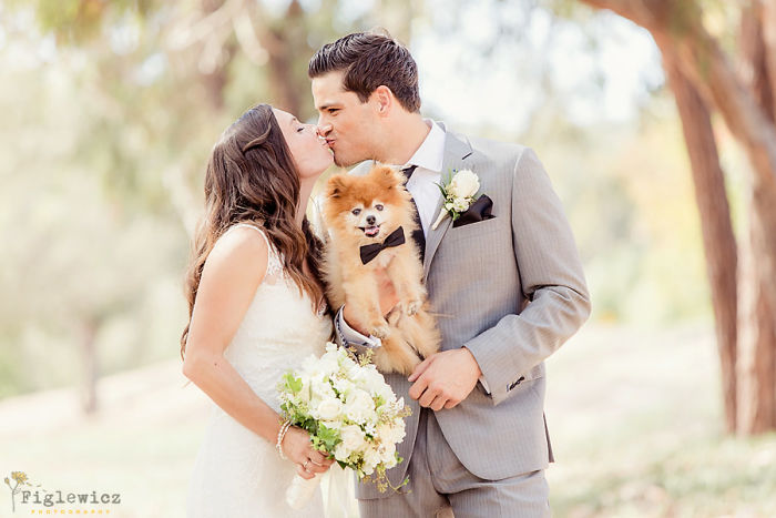 Couples Found A Way To Include Their Dogs Into Their Wedding And It's Absolutely Pawsome Couples Found A Way To Include Their Dogs Into Their Wedding And It's Absolutely Pawsome