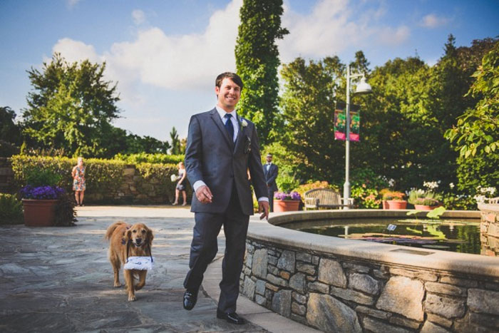 Couples Found A Way To Include Their Dogs Into Their Wedding And It's Absolutely Pawsome Couples Found A Way To Include Their Dogs Into Their Wedding And It's Absolutely Pawsome