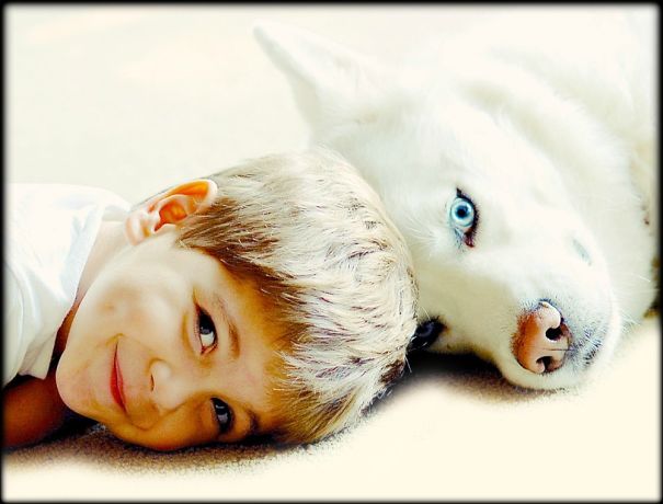 My Son & Our Dog, Blue Were Born A Month Apart. When My Son Was Old Enough To Understand Birthdays, He Said, "Blue Is My Brother"