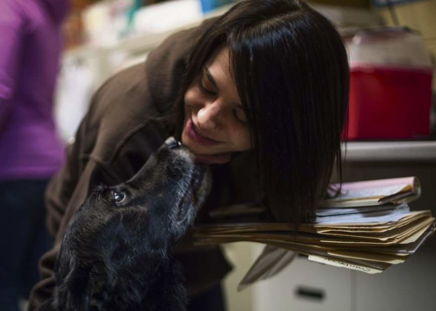 Family Gets A Shock Of A Lifetime When Their Dog Returns After Disappearing 10 Years Ago Family Gets A Shock Of A Lifetime When Their Dog Returns After Disappearing 10 Years Ago