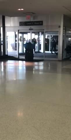 Giant Emotional Support Peacock Denied Seat On Flight, And Here’s How Internet Reacts