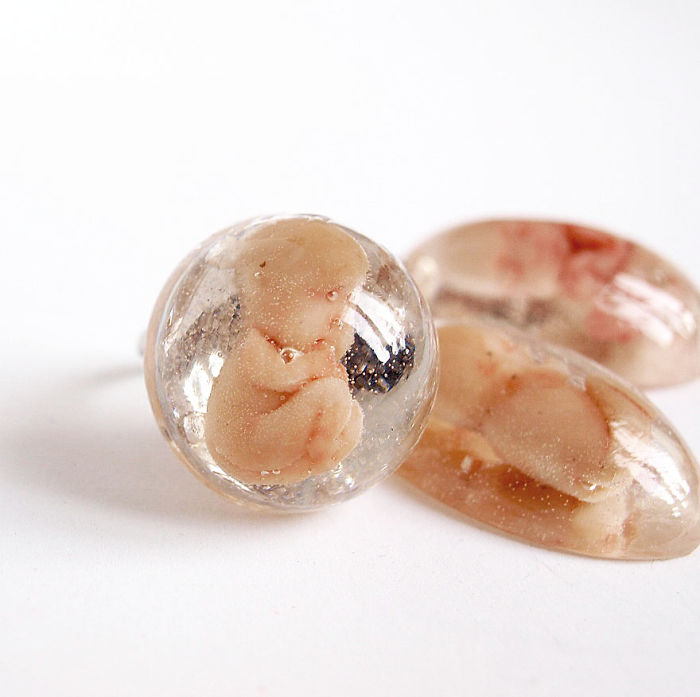 Preserved Life Resin Project I`m Working On