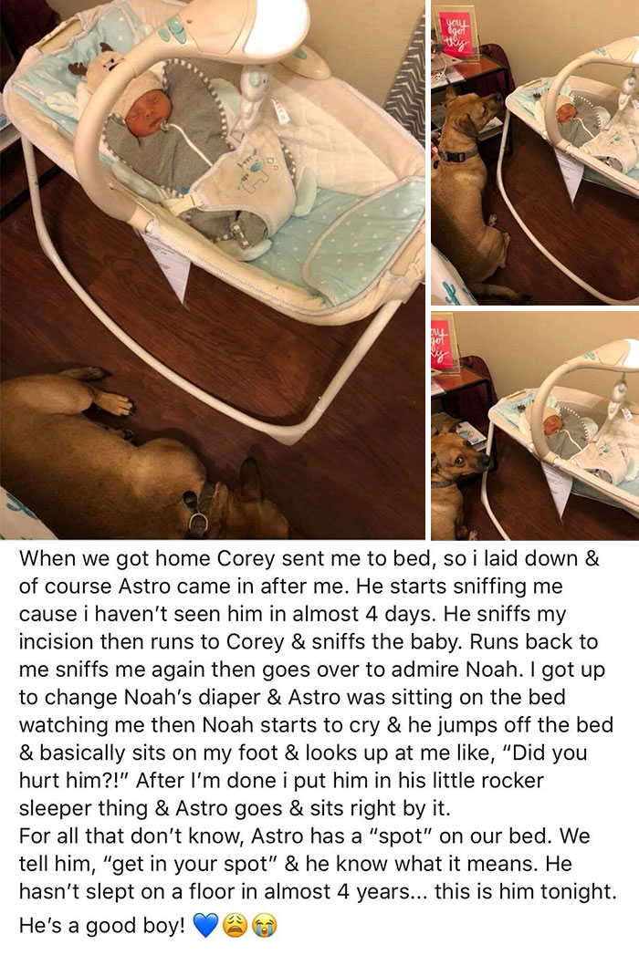 He's Such A Good Boy