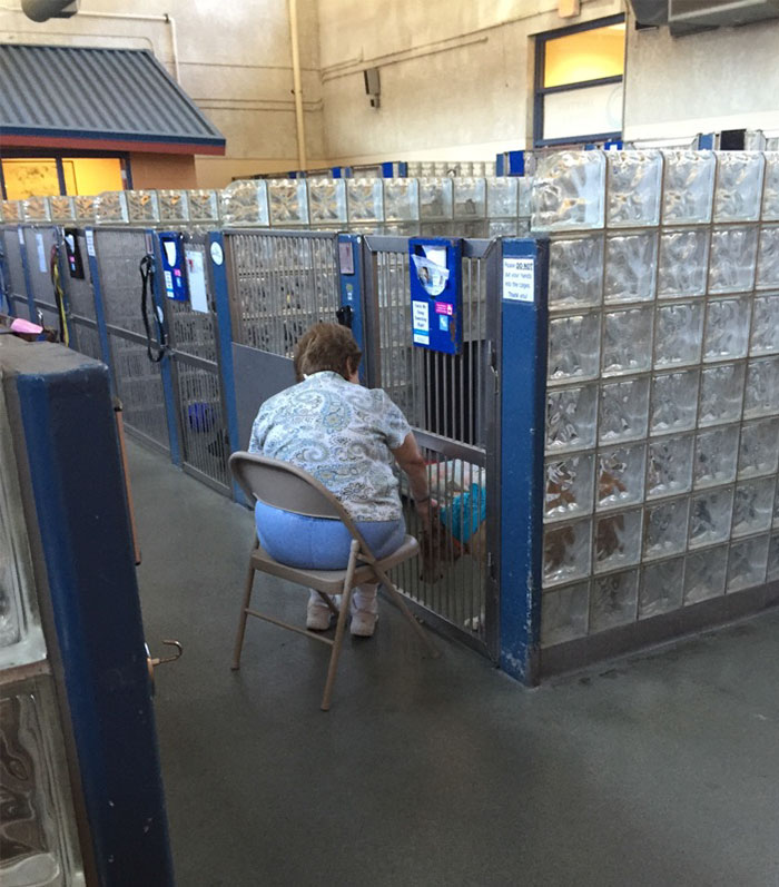 This Woman Comes To My Local Humane Society And Sits In Front Of The Dogs Cage And Reads Books To The Dogs