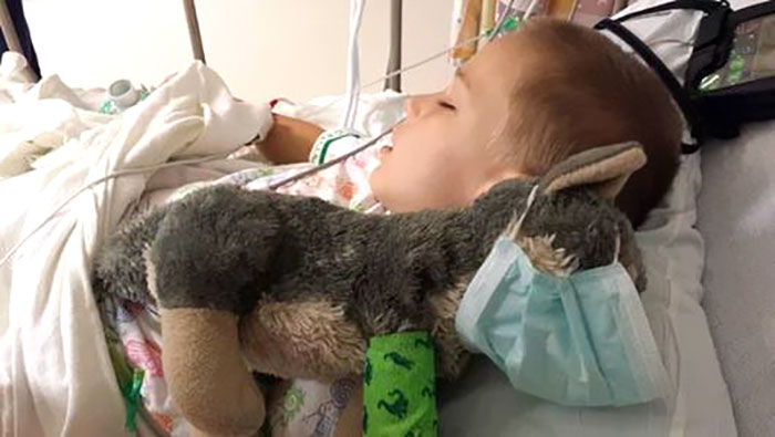 9-Year-Old Boy Joshua Had To Go In For Surgery. The Stuffed Wolf He Brought Together Had A Tear In Its Leg So Joshua Asked If His Doctor Could Do A Wolf Surgery Too. Surgical Staff Knew What To Do