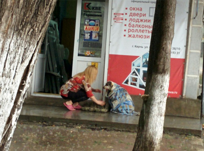 It Was Pouring Rain And This Dog Was Taking Shelter By The Store. A Woman Came Out And Wrapped It In A Blanket, She Later Came Out Again To Let The Dog Into Her Store