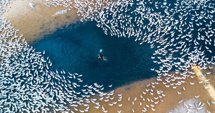 Best Aerial Photos Of 2017 Get Announced By SkyPixel