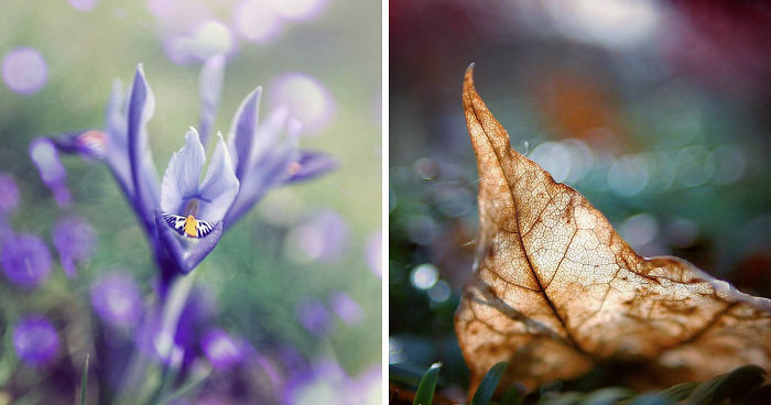 The Magic Of Nature By A Girl Feeling Lost