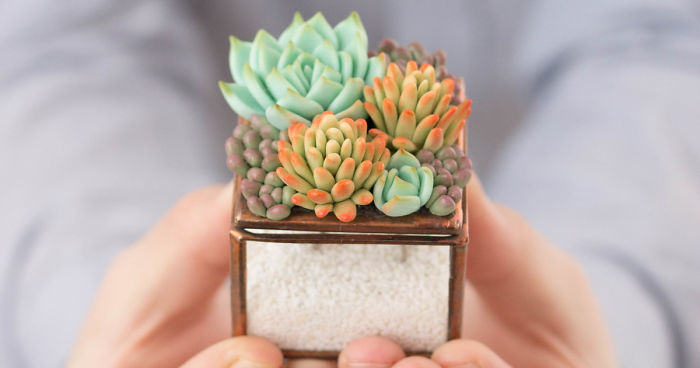 Polymer Clay And My Succulent Mania