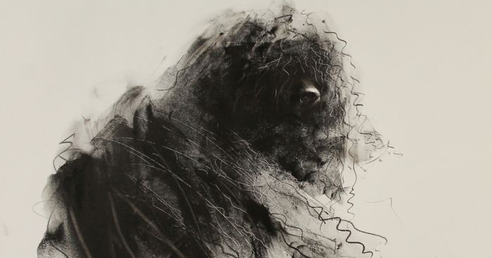 Gloomy Portraits Of Dogs That Seem To Fade Into The Paper