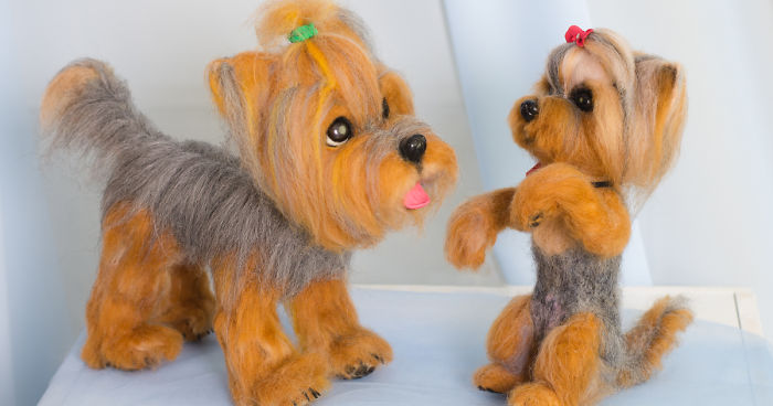 What Are These Cute Little Yorkies Made Of? What Do You Think?