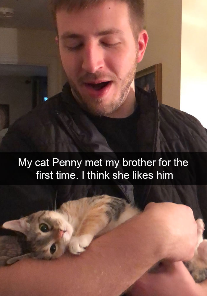 Funny-Cats-Photos-Snapchats