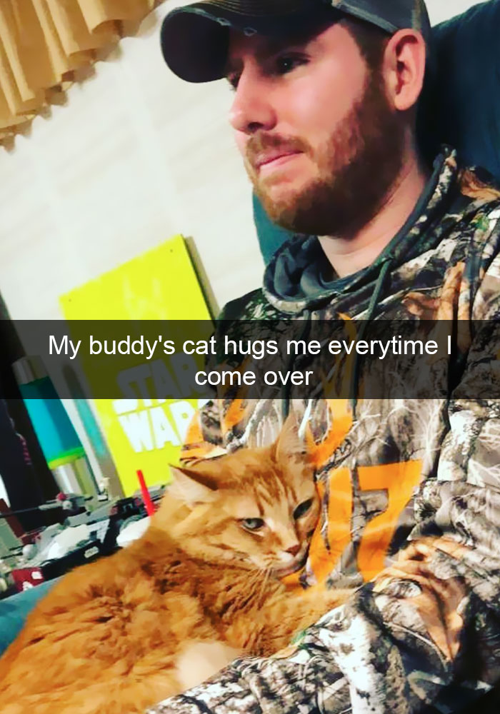 Funny-Cats-Photos-Snapchats