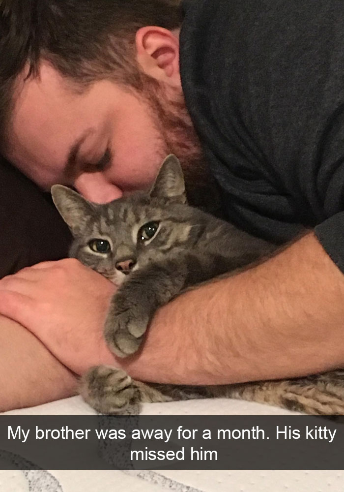 Funny-Cats-Photos-Snapchats