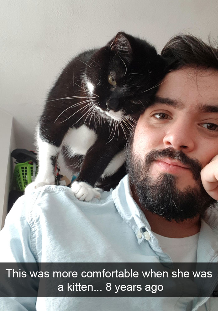 Funny-Cats-Photos-Snapchats