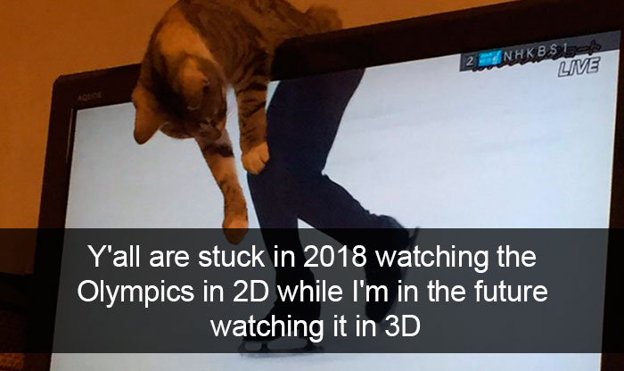 Snapchats Funny Cats