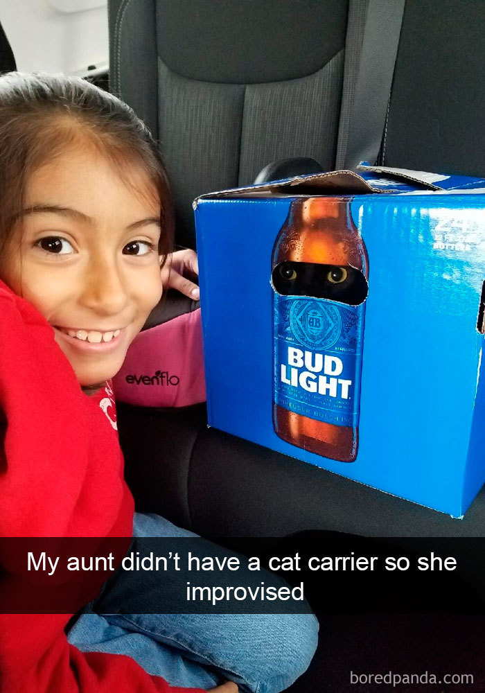 Snapchats Funny Cats