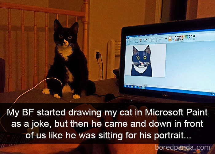 Snapchats Funny Cats