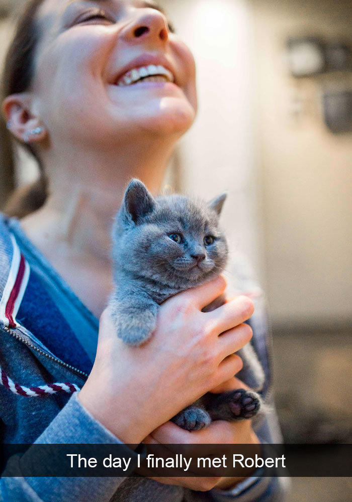 Snapchats Funny Cats