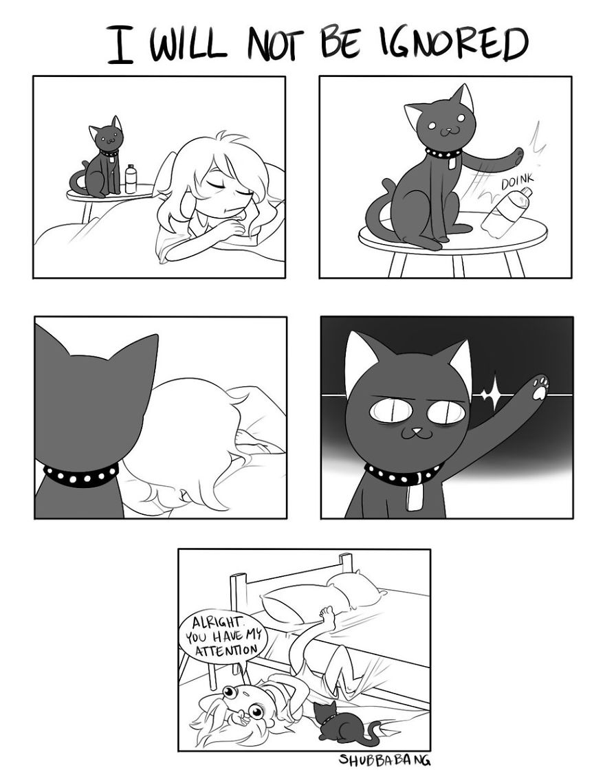 Funny-Comics-Shubbabang