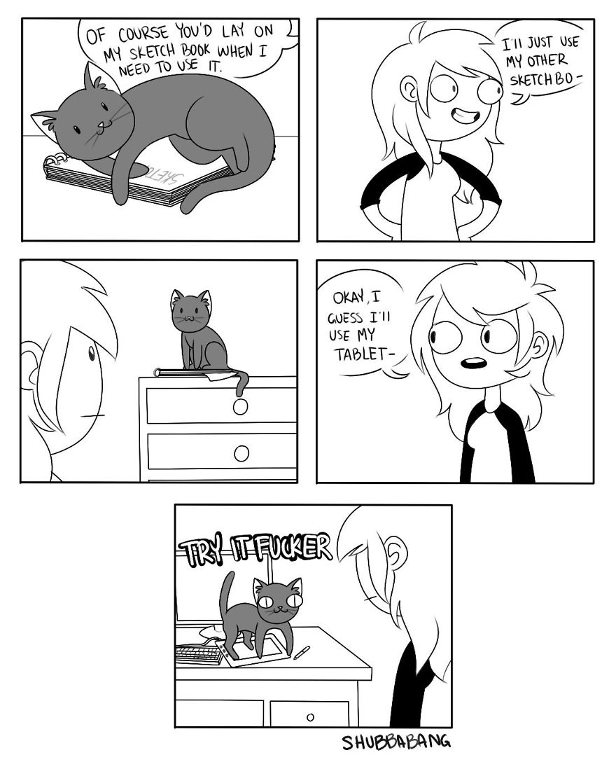 Funny-Comics-Shubbabang