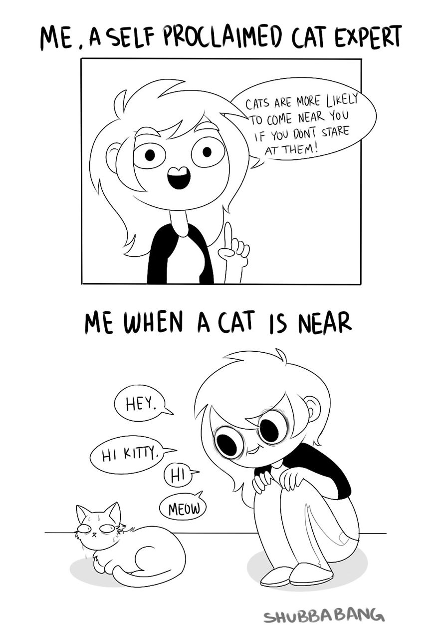 Funny-Comics-Shubbabang