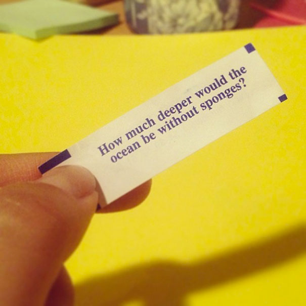 Fortune cookie with a sassy message asking about the ocean's depth without sponges, held against a yellow background.