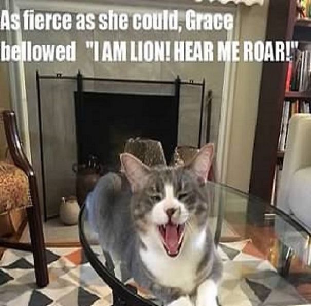 This Is A "Thank You" Calendar For My Friend Sarah, Who Helped Me Get Sober. This Is Her Cat, Grace.