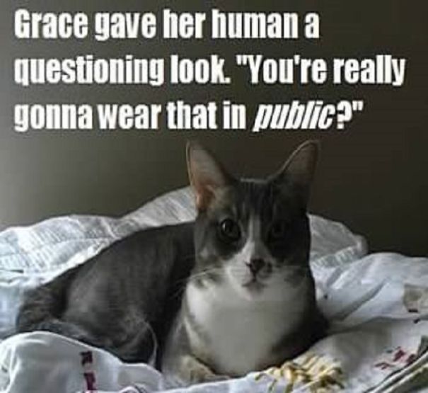 This Is A "Thank You" Calendar For My Friend Sarah, Who Helped Me Get Sober. This Is Her Cat, Grace. This Is A "Thank You" Calendar For My Friend Sarah, Who Helped Me Get Sober. This Is Her Cat, Grace.